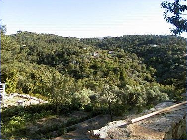 Despina's Studios/Rooms is located in the heart of Kastanies Village Forest