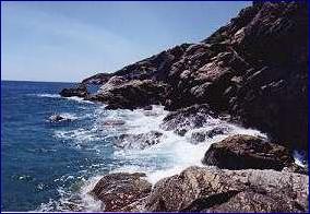 WILD COASTLINE