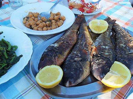 Ikarian Food Amateur 450x338 Porn Photo Ikarian Food image