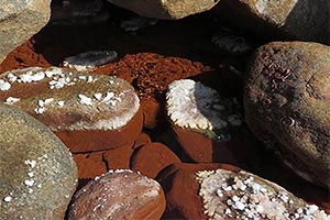Hot Mineral Springs &
Thermal Spas of Ikaria